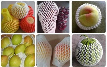 Fruit net